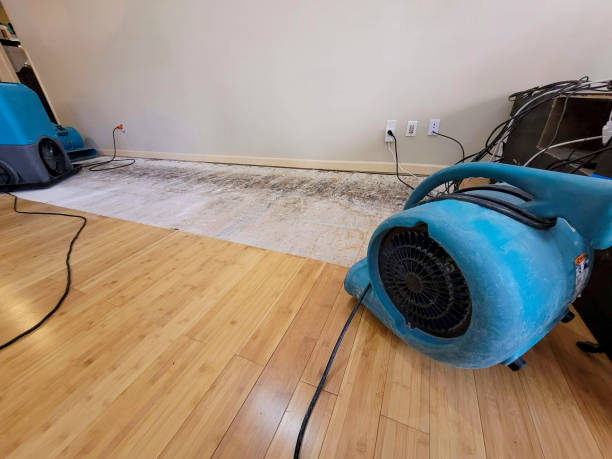 Reliable Basement Flood Cleanup contractor in Fredericksburg, OH by Hirex Water Damage