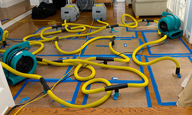 Professional Basement Flood Cleanup technician working in Fredericksburg, OH